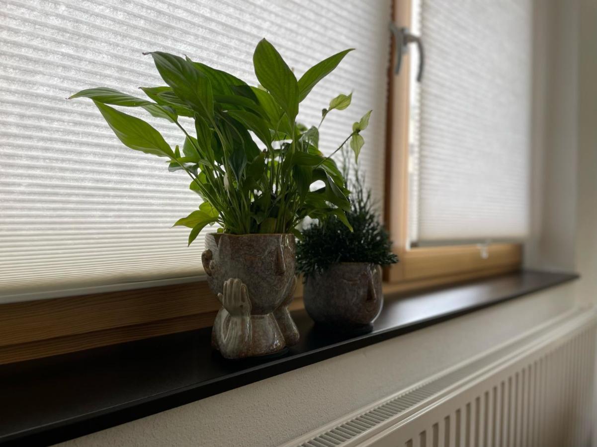 Kiwe5 Villa Plauen Eksteriør billede